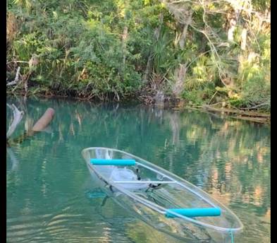 WEEKI WACHEE PADDLE SAFARI