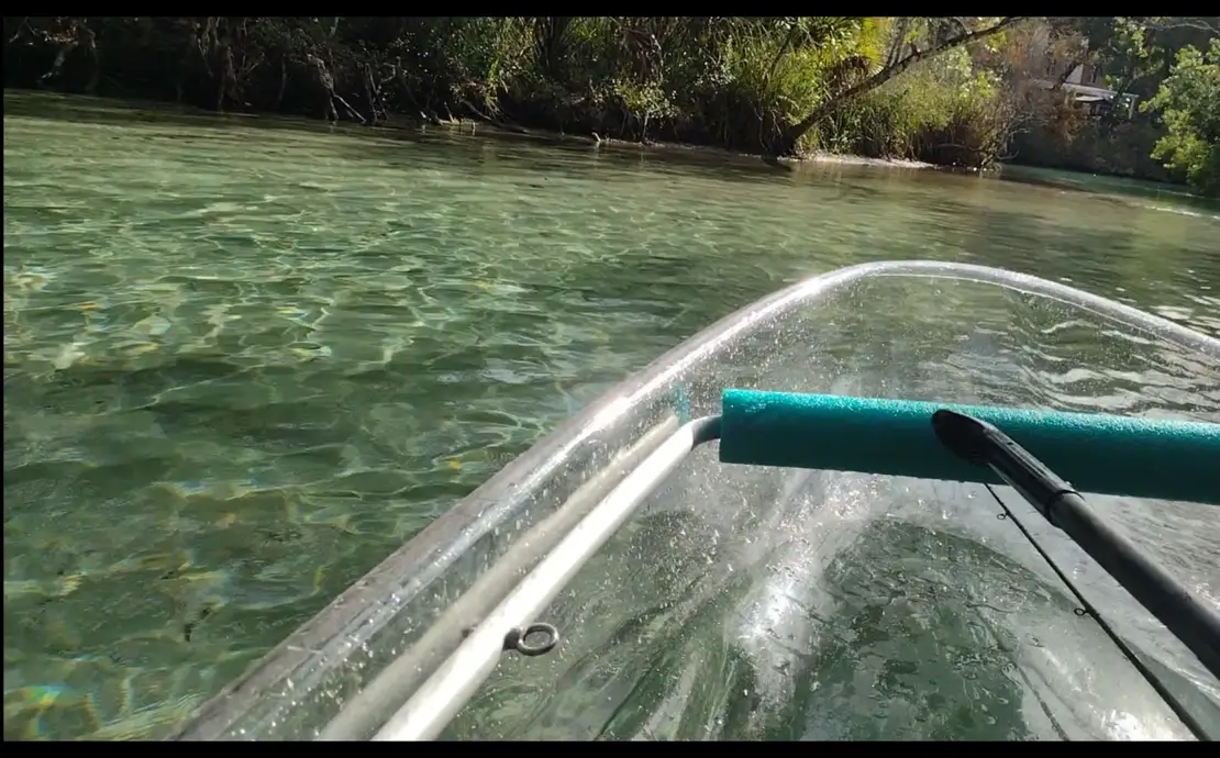 WEEKI WACHEE PADDLE SAFARI