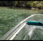 WEEKI WACHEE PADDLE SAFARI