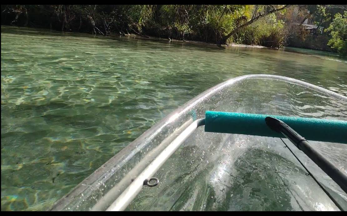 WEEKI WACHEE PADDLE SAFARI