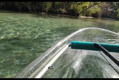 WEEKI WACHEE PADDLE SAFARI