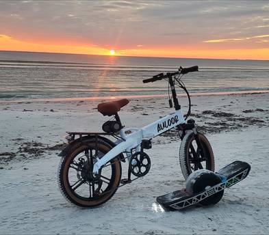 E bike