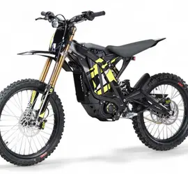 2025 SURRON LIGHT BEE X