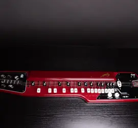 Japanese Taishogoto (Nagoya Harp)
