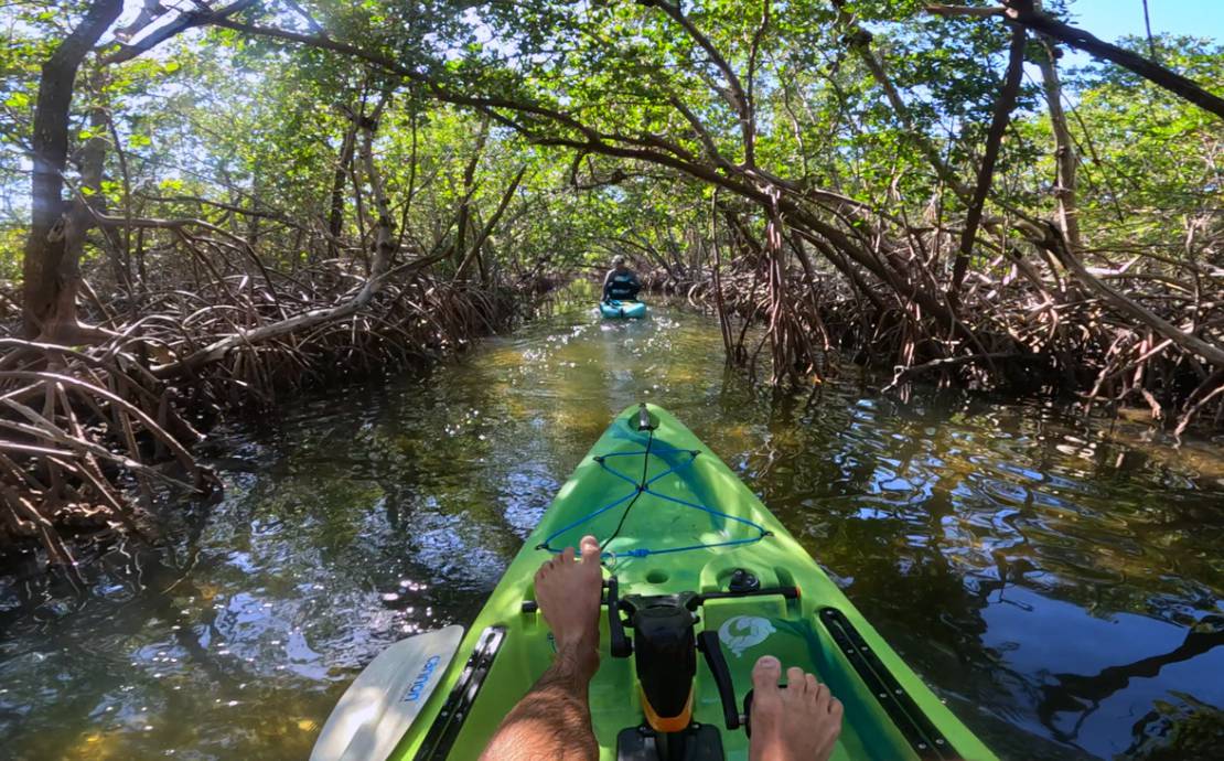 Multi-day pedal kayak rental