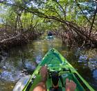 Multi-day pedal kayak rental
