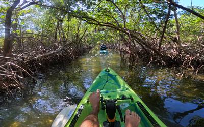 Kayak rental in Sarasota