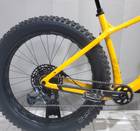 Trek Farley fat bike XL