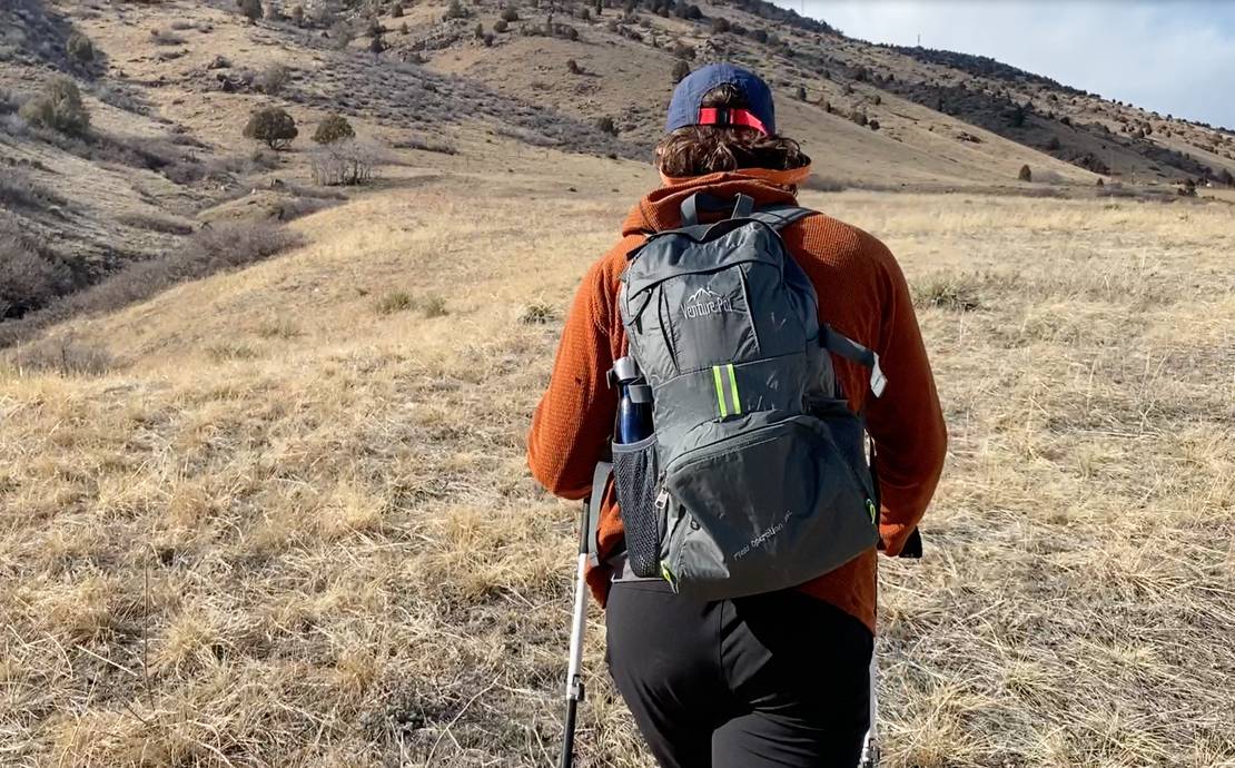 Venture Pal Lightweight Packable Backpack