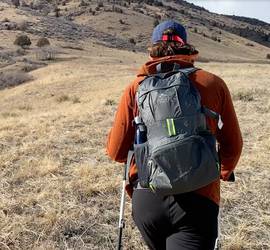 Venture Pal Lightweight Packable Backpack