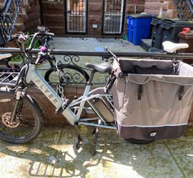 Radio Flyer Via Pro electric bike