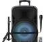 12" Party Speaker With LED Lights, Mic & Remote