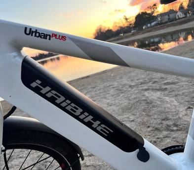Peddle assist Electric Bike