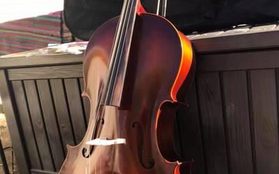 Rent Musical Instruments Directly From An Owner Friendwitha