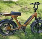 2 Fat Tire E-bikes