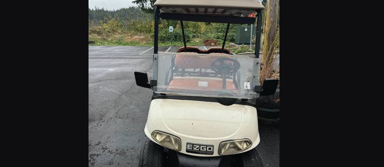 Golf Cart - Zippy
