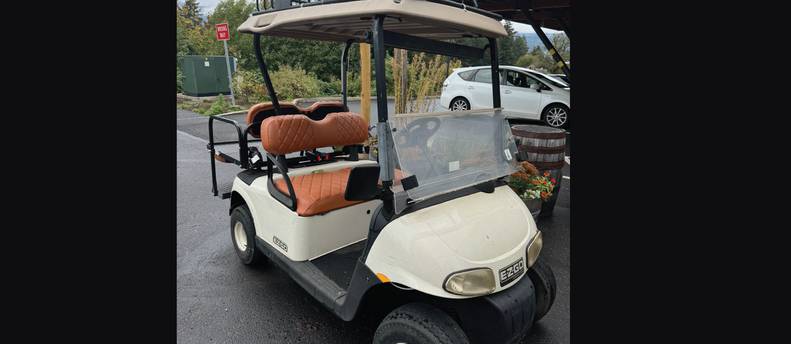 Golf Cart - Zippy