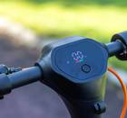 ScootScoot around Greer!