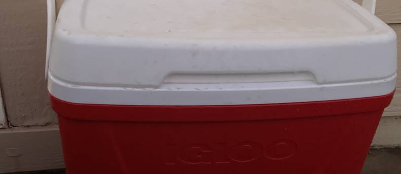 Igloo 28 quart cooler