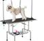 Large Dog Grooming Table, Adjustable Cat Drying Desktop with Arms, Nooses, Mesh Tray, Foldable Pet Station at Home, Maximum Capacity Up to 330Lb, 46inch, Black, 46in