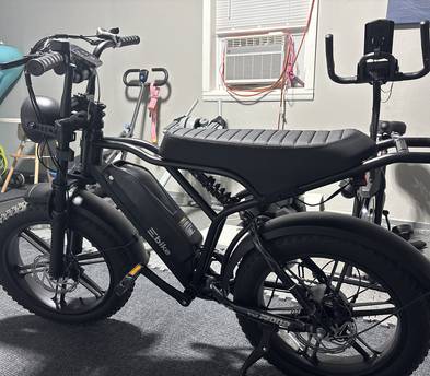 Electric Bike