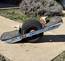 Onewheel XR