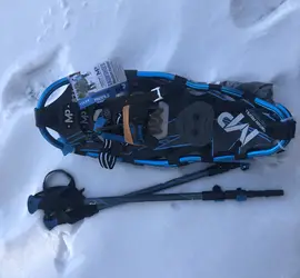 Snowshoes with Hiking Poles