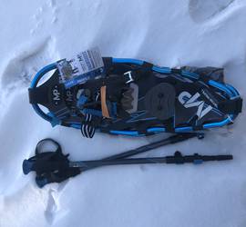 Snowshoes with Hiking Poles