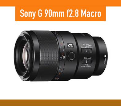 Sony FE 90mm f/2.8 Macro G OSS Lens Sharp Detail Close-Up E-Mount SEL90M28G