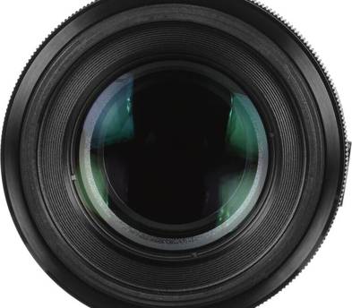 Sony FE 90mm f/2.8 Macro G OSS Lens Sharp Detail Close-Up E-Mount SEL90M28G
