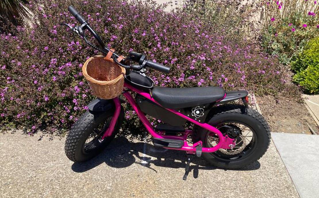 AR ATOM 1000 WATT MINI ELECTRIC BICYCLE