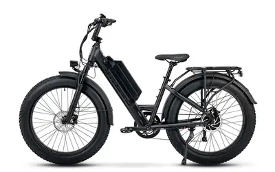 Electric Bike rental in Belleville