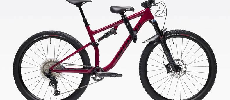Kids ride shotgun-bike seat