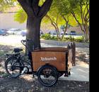 Bunch Bike Original 4.0