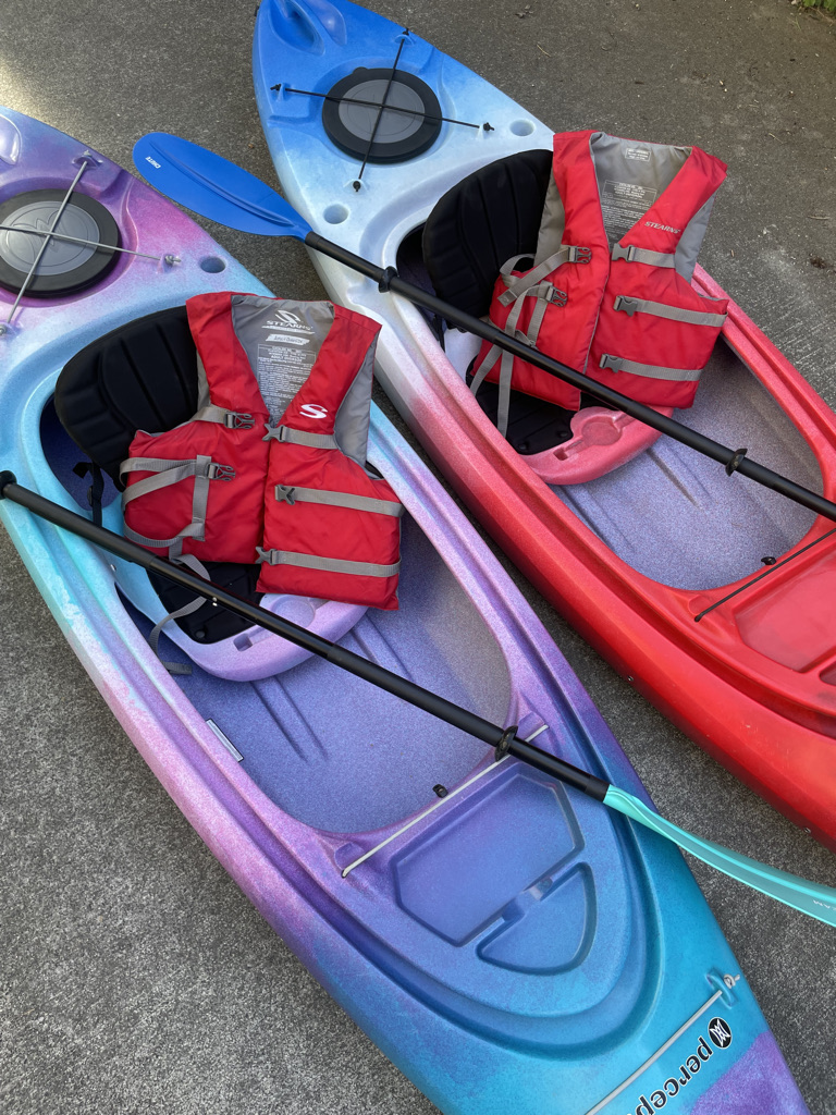 perception swifty deluxe 9.5 details