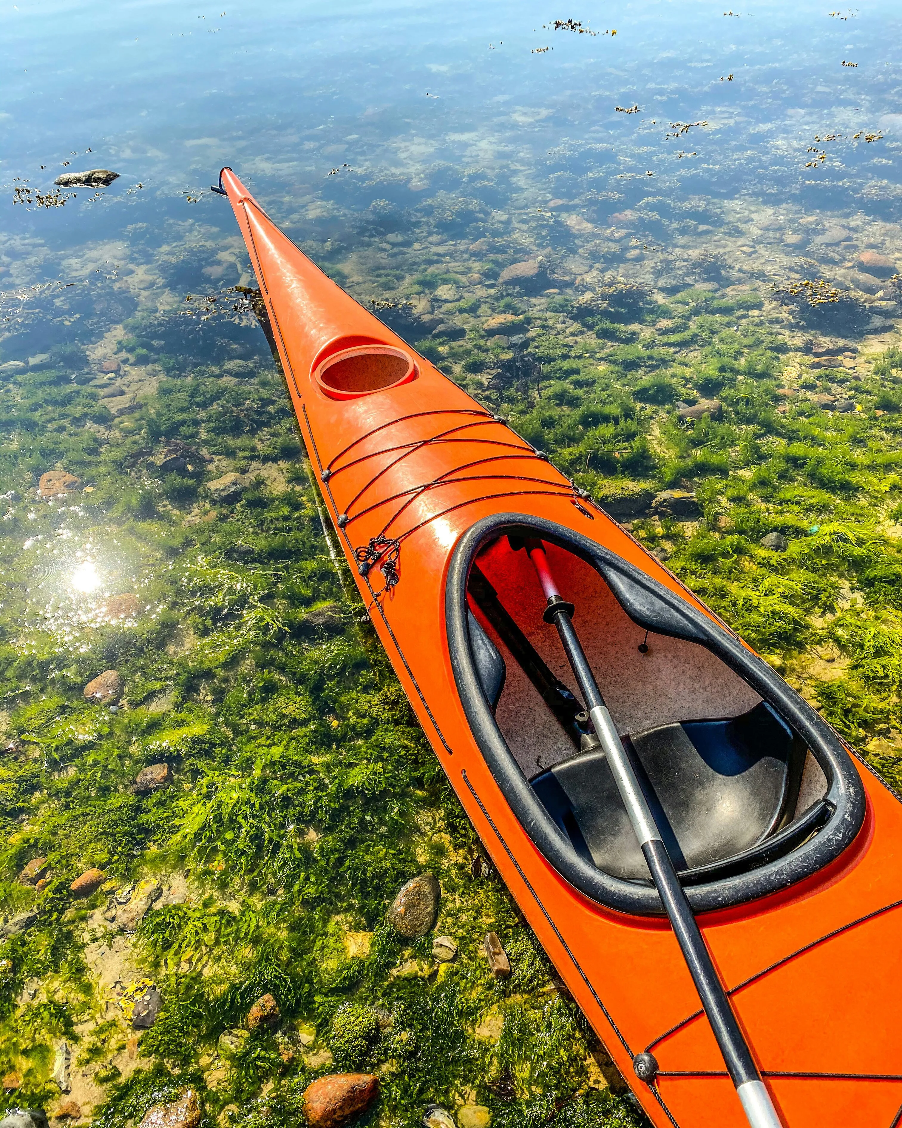 Kayak rentals