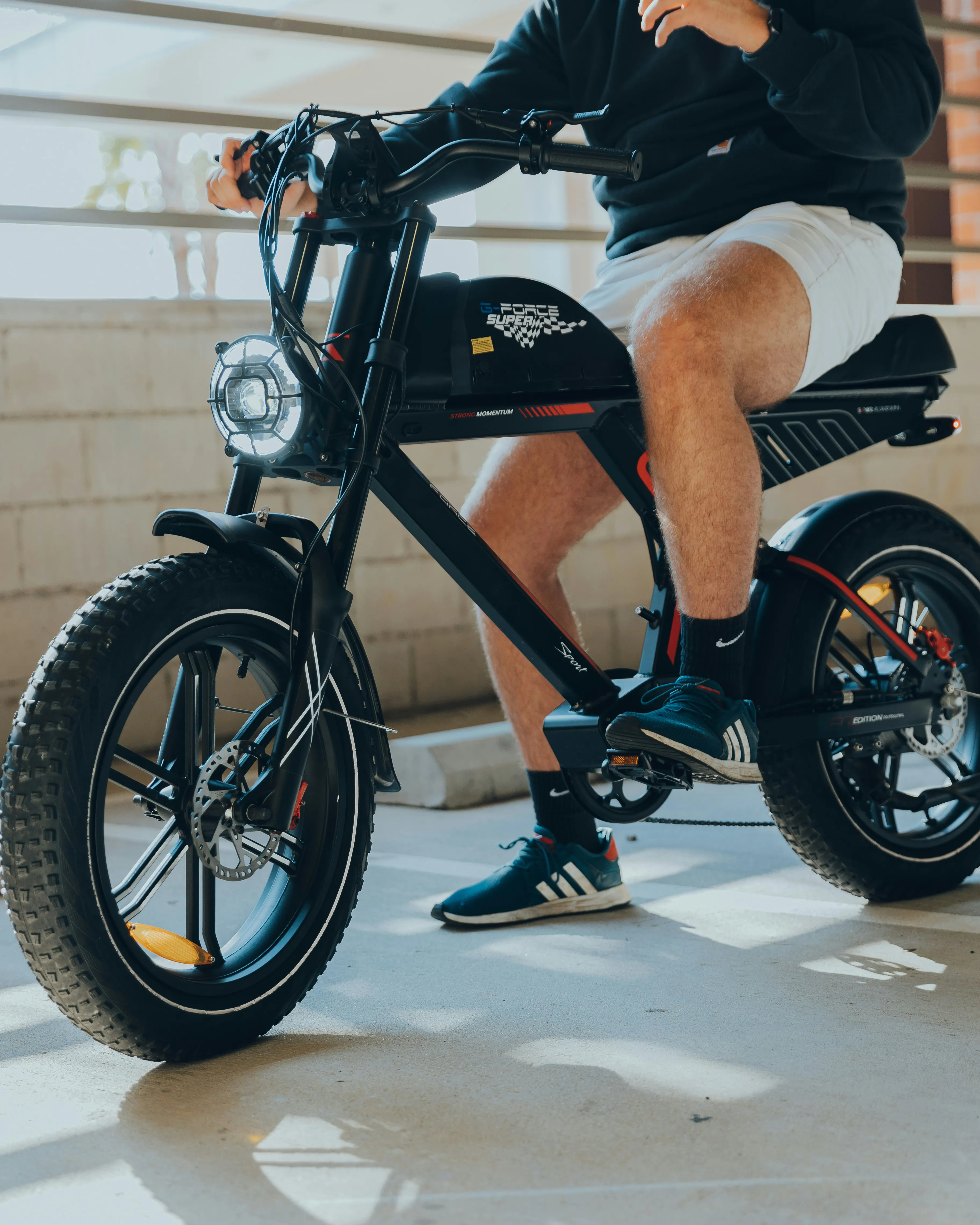 Electric Bike Rentals